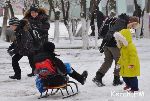 Новости » Общество: В младших классах школ Керчи отменили занятия