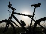Новости » Спорт: В Керчи, в рамках всеукраинского велодня, прошел велопробег