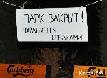 Новости » Общество: Посетителей кафе в Керчи пугают собаками