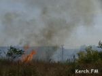 Новости: В Керчи в спальном районе горели камыши на большой площади