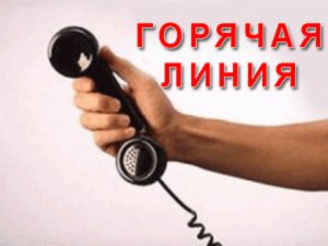 Новости » Общество: Номер «горячей линии» Аксенова упростили до одних нулей