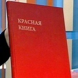 Новости » Общество: Красная книга почв Крыма будет создана в этом году