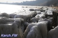 Новости » Общество: В Керчи водители грузовиков ждут очередь на переправу больше  24 часов