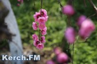 Новости » Общество: В Керчи на Пасху обещают солнечную погоду