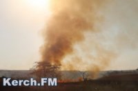Новости » Общество: В Крыму ожидается высокая пожарная опасность