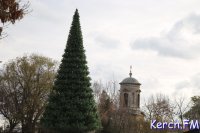 Новости » Общество: Новогодняя елка в центре Керчи стоит в 6 раз меньше, чем при экс-мэре