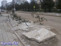 Новости » Общество: В Керчи водоканал посадил деревья в яму на автобусной остановке