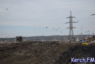 Новости » Общество: Возгорания на Керченской городской свалке не было, - директор санполигона