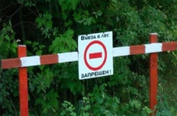 Новости » Общество: В Крыму вновь введено ограничение на посещение лесов