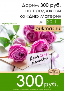 Бизнес новости: АКЦИЯ ко Дню Матери – скидка 300 руб. на предзаказ до 20 ноября