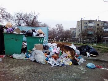 Новости » Общество: Керчане снова жалуются на свалку в жилом районе