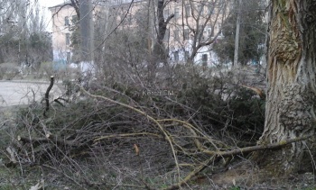 Новости » Общество: Керчане просят привести в порядок территорию больничного городка в Аршинцево