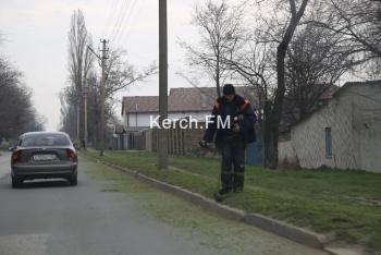 Новости » Общество: В Керчи начался покос травы на обочинах дорог