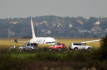 Новости » Общество: Пассажиры аварийно севшего А321 начали получать компенсации