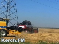 Новости » Общество: В Сирию планируют вывозить в 2 раза больше крымской пшеницы