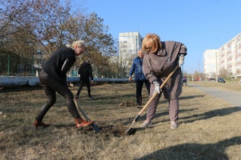 Новости » Общество: Вдоль улицы Ворошилова высадили аллею миндальных деревьев