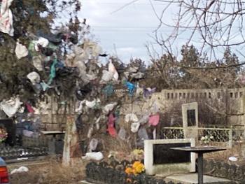 Новости » Общество: Могилы на городском кладбище Керчи – замусорены