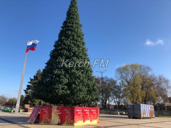 Новости » Общество: В Керчи завершили сбор главной новогодней елки