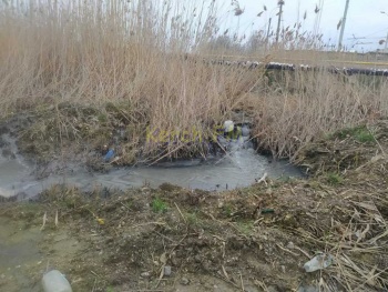 Новости » Общество: В Керчи к морю текут говностоки по Таманской