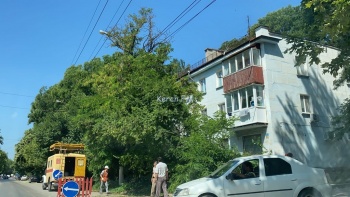 Новости » Общество: Вдоль дороги на Горького обрезали ветки деревьев