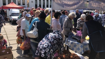 Новости » Общество: Теперь в выходной: в Керчи вновь пройдет сельхозярмарка