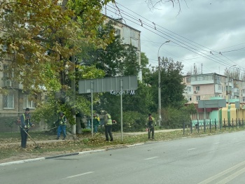 Новости » Общество: В Керчи продолжают косить траву