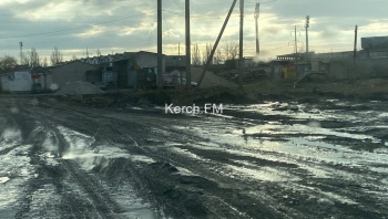 Новости » Общество: Живем, как свиньи: керчане об улице Полевой