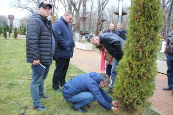 Новости » Общество: Капельный полив возобновят в Комсомольском парке Керчи