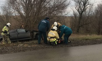 Новости » Криминал и ЧП: В Крыму автомобиль врезался в дерево, погибли двое