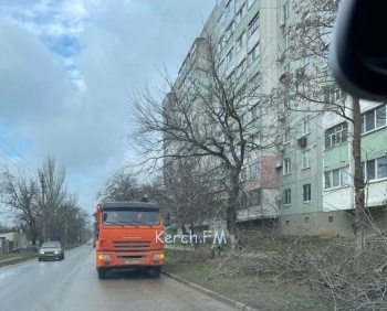 Новости » Общество: В Керчи наводят порядки