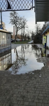 Новости » Общество: На Ульяновых в Керчи у остановки появилось канализационное озеро