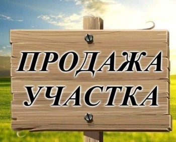 Бизнес новости: Продам садово-огородный участок