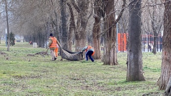 Новости » Общество: День чистоты: в парках и центральных улицах Керчи бюджетники наводят порядок