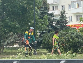 Новости » Общество: В сквере Воссоединения приступили к покосу травы