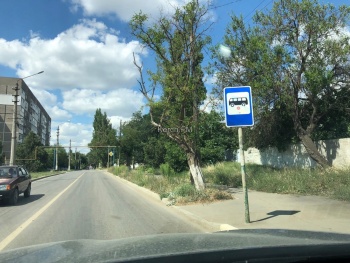 Новости » Общество: Порядок только в центре? Керчане пожаловались на высокую траву на обочинах по Ульяновых