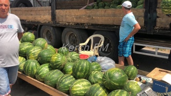 Новости » Общество: Картошка от 15, помидоры от 20 – сельхозярмарка проходит в Керчи