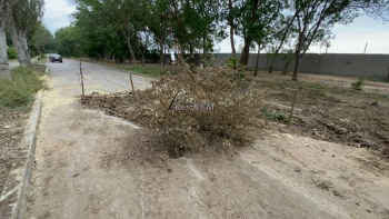 Новости » Общество: Улице Черноморской не везёт: водоканал вновь вскрыл новый асфальт поперёк улицы