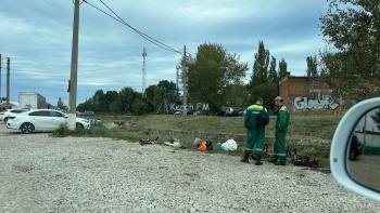 Новости » Общество: В Керчи около оптового рынка скосили заросли травы