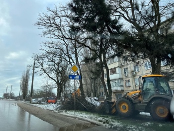 Новости » Общество: Только после жалоб в Аршинцево начали вывозить ветки с обочин