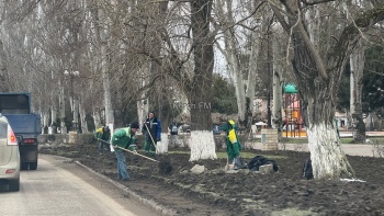 Новости » Общество: В Керчи занялись грунтом вдоль центральных дорог