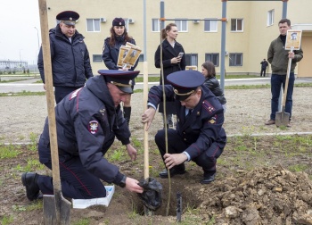 Новости » Общество: Транспортные полицейские  с общественниками провели акцию «Зеленый полк» в Керчи