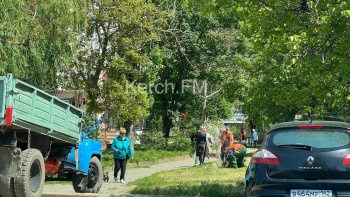 Новости » Общество: На Сморжевского во дворах косили траву