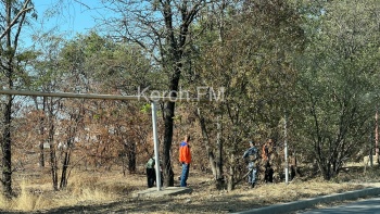 Новости » Общество: Осужденные в Керчи вышли на очередную уборку