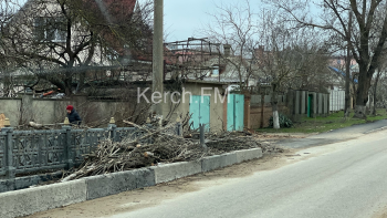 Новости » Общество: Как нам ходить? На Партизанском мосту ветки упавшего дерева перегородили тротуар