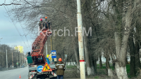 Новости » Общество: В Керчи идет масштабная обрезка деревьев