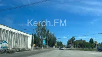 Новости » Экология: В Керчи пытаются бороться с тополями