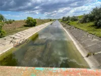 Новости » Общество: Северо-Крымский канал в Ленинском районе и с водой и с рыбой