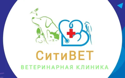 Предоставляем все виды ветеринарных услуг.