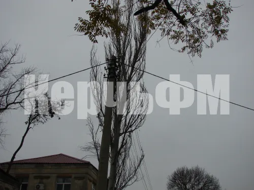 Новости » Общество: В четверг, 28 ноября, КРЭС будет проводить неотложные работы по ремонту линии 6 кВ