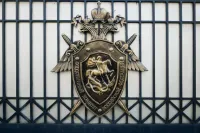 Новости » Криминал и ЧП: Бастрыкин заслушает доклад по делу о нанесении травм новорожденным в крымском роддоме